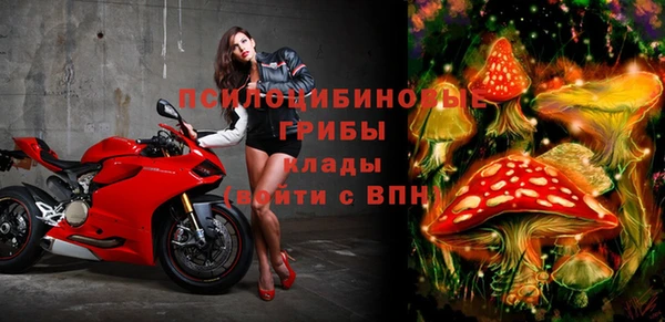 марки lsd Ельня