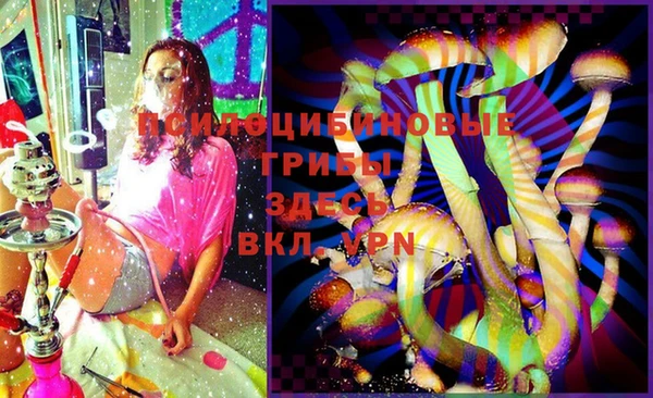 МДПВ Елабуга
