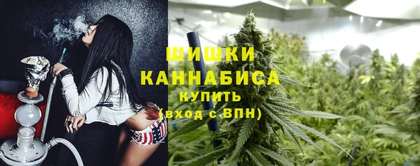 spice Елизово