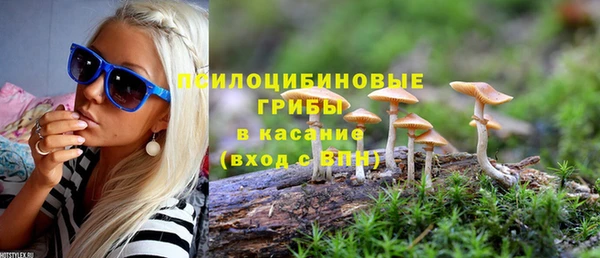 марки lsd Ельня