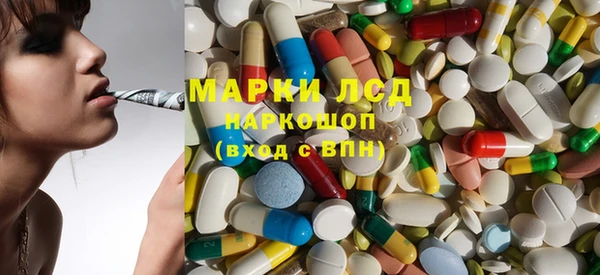 spice Елизово