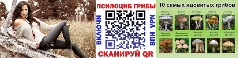 цены   Невинномысск  Галлюциногенные грибы прущие грибы 